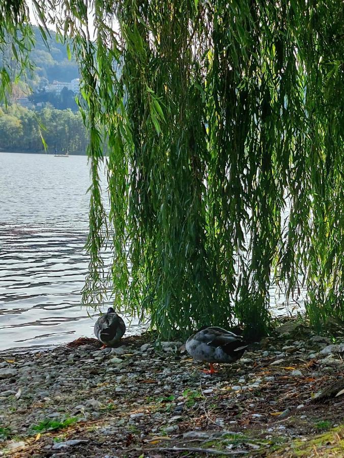 I Gelsi - Holiday Home Lago  Buitenkant foto